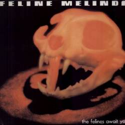 Feline Melinda : The Felines Await You